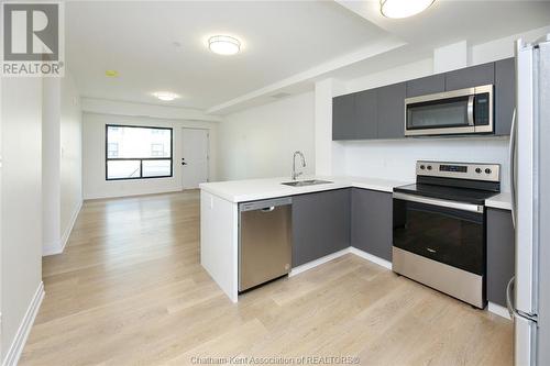 3340 Stella Crescent, Windsor, ON - Indoor Photo Showing Kitchen