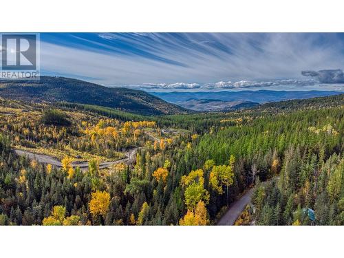 8726 Forsberg Road, Vernon, BC - Outdoor With View