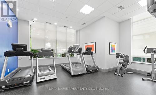 1816 - 31 Bales Avenue, Toronto (Willowdale East), ON - Indoor Photo Showing Gym Room