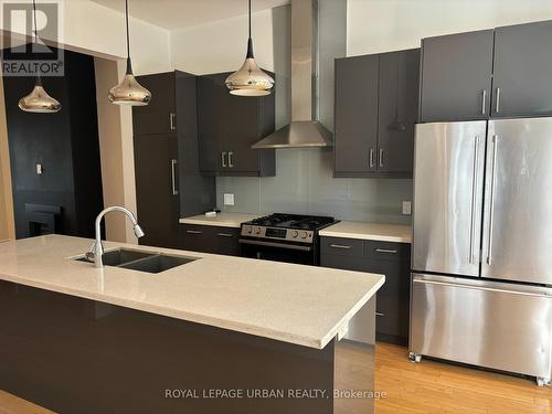 323 Ontario Street, Toronto, ON - Indoor Photo Showing Kitchen With Stainless Steel Kitchen With Double Sink With Upgraded Kitchen