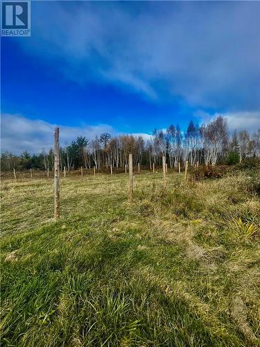 214 Beauparlant, St. Charles, ON - Outdoor With View