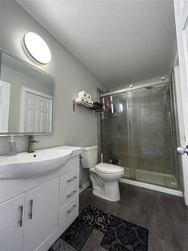 38027 38E (Quarry Oaks) Road, Steinbach, MB - Indoor Photo Showing Bathroom