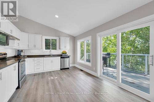 1112 Blue Heron Ridge, Central Frontenac, ON - Indoor Photo Showing Kitchen With Double Sink