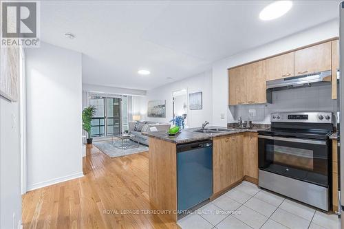 205 - 503 Beecroft Road, Toronto, ON - Indoor Photo Showing Kitchen With Double Sink