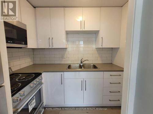 2 - 521 Park Street, Kitchener, ON - Indoor Photo Showing Kitchen With Double Sink