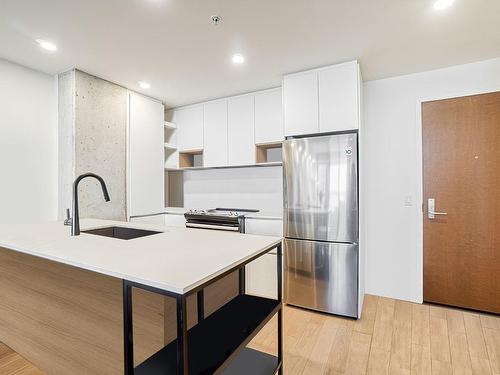 Kitchen - 824-201 Rue Jacques-Le Ber, Montréal (Verdun/Île-Des-Soeurs), QC - Indoor Photo Showing Kitchen