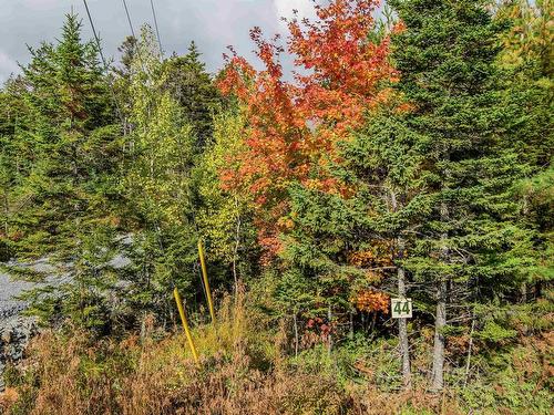 Lot 44 Meek Arm Trail, East Uniacke, NS 