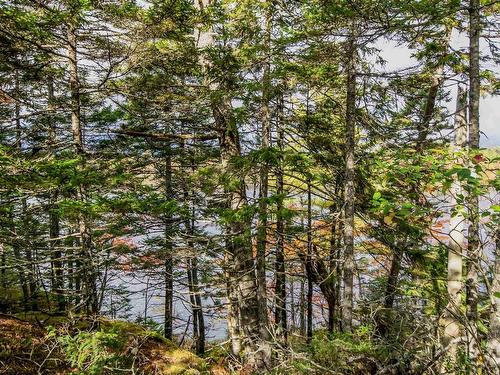 Lot 44 Meek Arm Trail, East Uniacke, NS 