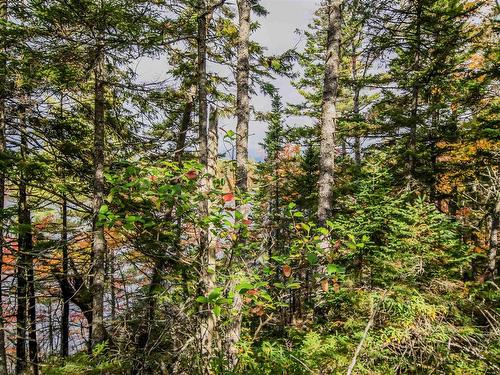 Lot 44 Meek Arm Trail, East Uniacke, NS 