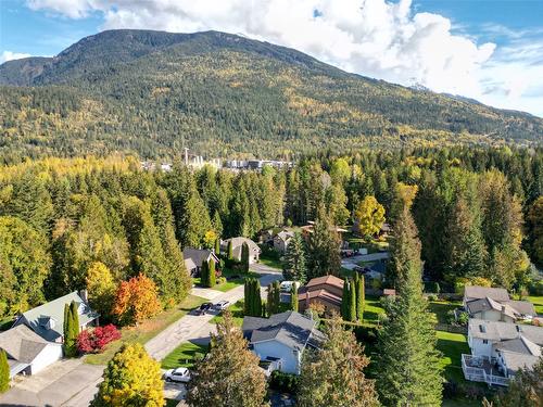 1901 Forest Drive, Revelstoke, BC - Outdoor With View