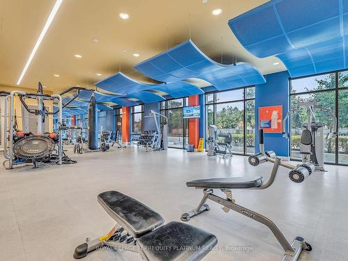 367-60 Ann O'Reilly Rd, Toronto, ON - Indoor Photo Showing Gym Room