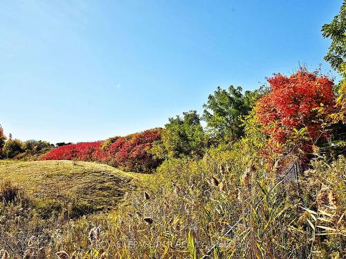 14-60 Baynes Way, Bradford West Gwillimbury, ON - Outdoor With View