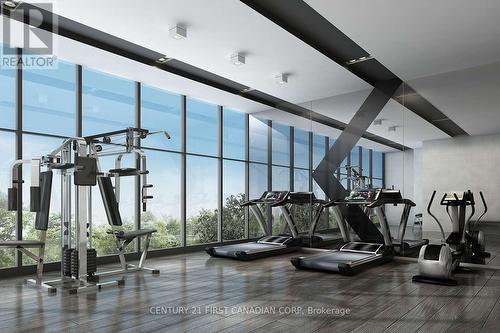 608 - 1117 Cooke Boulevard, Burlington (Brant), ON - Indoor Photo Showing Gym Room