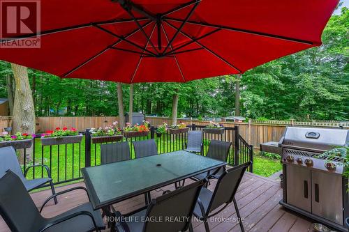 85 Oakridge Drive, Toronto, ON - Outdoor With Deck Patio Veranda