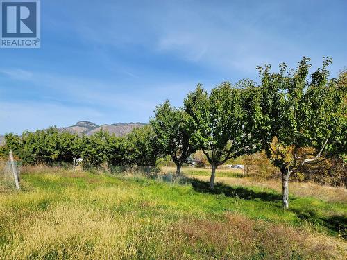 360 Vla Road, Cawston, BC - Outdoor With View