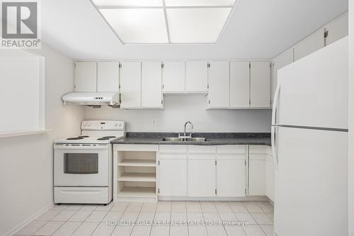 105 - 20 Dean Park Road, Toronto, ON - Indoor Photo Showing Kitchen With Double Sink