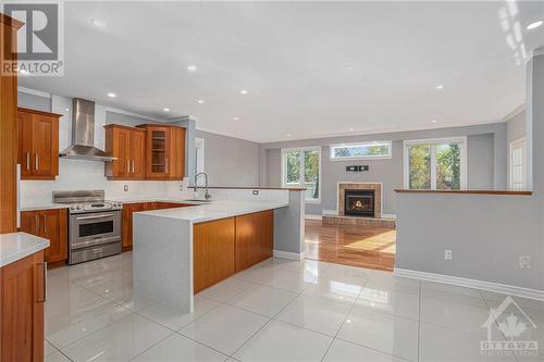 225 Bradwell Way, Ottawa, ON - Indoor Photo Showing Kitchen With Fireplace