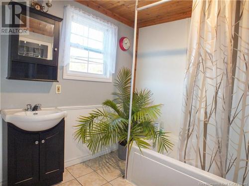 166 Main Street, Canterbury, NB - Indoor Photo Showing Bathroom