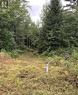 Lot 24 Nicklaus Drive, Bancroft, ON 