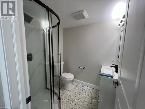 Lower - 14 Bishopsgate Avenue, Hamilton, ON - Indoor Photo Showing Bathroom