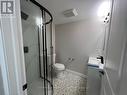 Lower - 14 Bishopsgate Avenue, Hamilton, ON  - Indoor Photo Showing Bathroom 