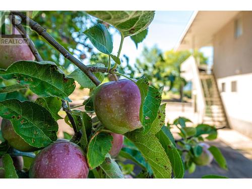 910 El Paso Road, Kelowna, BC - Outdoor