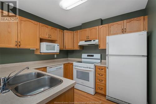 852 Michael Drive, Tecumseh, ON - Indoor Photo Showing Kitchen With Double Sink