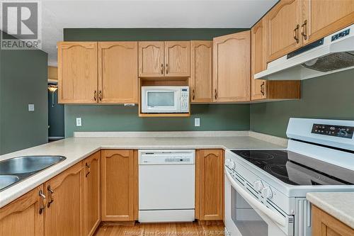 852 Michael Drive, Tecumseh, ON - Indoor Photo Showing Kitchen With Double Sink