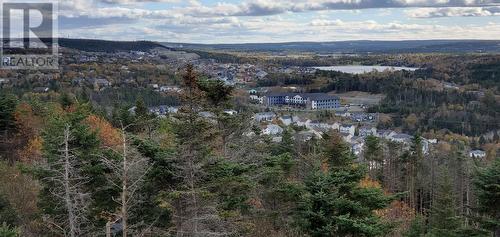 107 Summit Drive, Paradise, NL - Outdoor With View