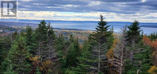 107 Summit Drive, Paradise, NL - Outdoor With View