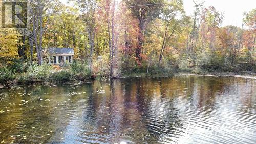 61 Fire Route 75B, Havelock-Belmont-Methuen, ON - Outdoor With Body Of Water With View