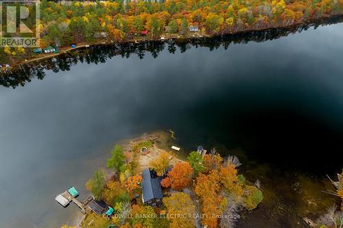 61 Fire Route 75B, Havelock-Belmont-Methuen, ON - Outdoor With Body Of Water With View