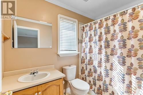 18 Cottonwood Crescent, St. John'S, NL - Indoor Photo Showing Bathroom