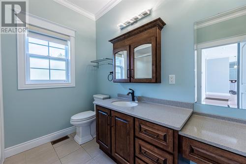 6 Autumn Drive, Whitbourne, NL - Indoor Photo Showing Bathroom