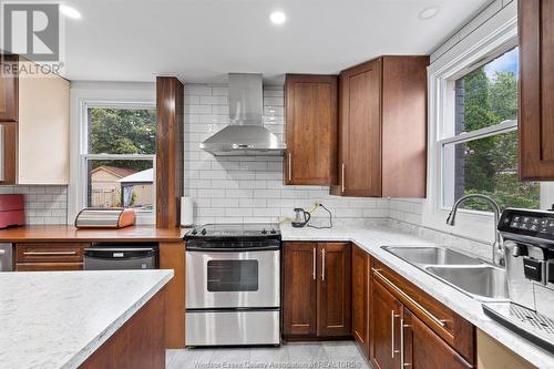 956 Homedale, Windsor, ON - Indoor Photo Showing Kitchen With Double Sink