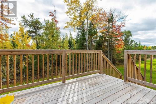 222 Teaberry Avenue, Moncton, NB - Outdoor With Deck Patio Veranda