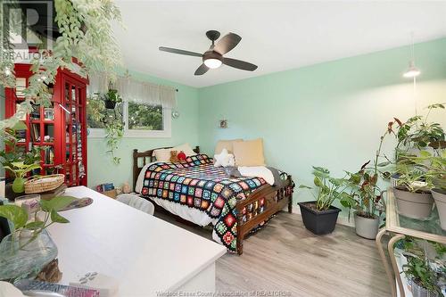 341 Genevieve Street, Windsor, ON - Indoor Photo Showing Bedroom