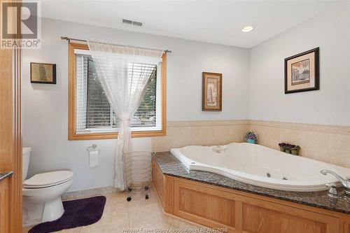 341 Genevieve Street, Windsor, ON - Indoor Photo Showing Bathroom