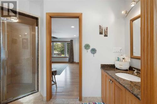 341 Genevieve Street, Windsor, ON - Indoor Photo Showing Bathroom