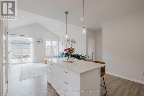 132 Cortland Terrace, St. Thomas, ON - Indoor Photo Showing Kitchen