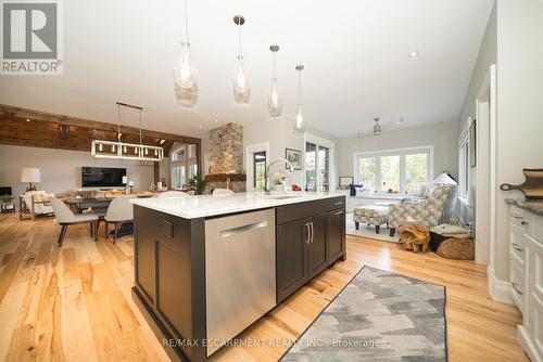 523 Blue Lake Road, Brant, ON - Indoor Photo Showing Kitchen With Upgraded Kitchen