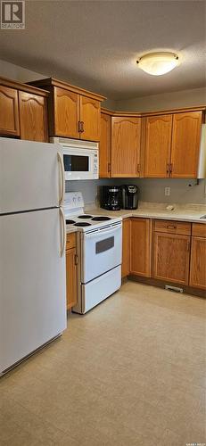 250 Mount Royal Place, Regina, SK - Indoor Photo Showing Kitchen