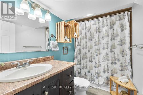 62 Greencedar Drive, Hamilton, ON - Indoor Photo Showing Bathroom