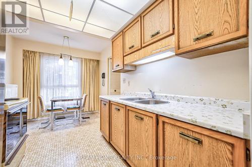 3 Dailing Gate, Toronto, ON - Indoor Photo Showing Kitchen With Double Sink