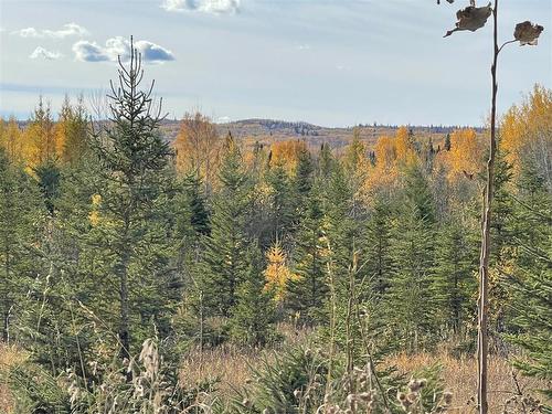 Swan River, Manitoba - Outdoor With View