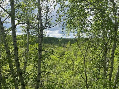 Swan River, Manitoba - Outdoor With View