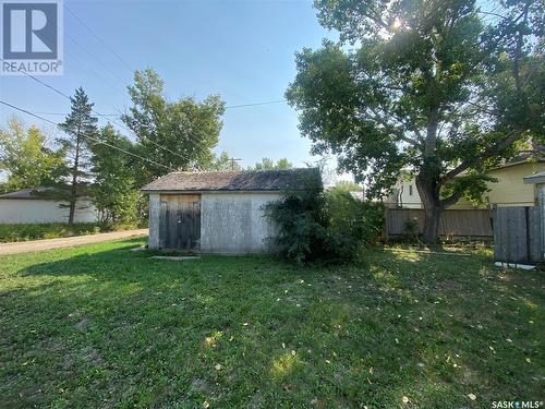 81 Grand Avenue, Plenty, SK - Outdoor With Backyard