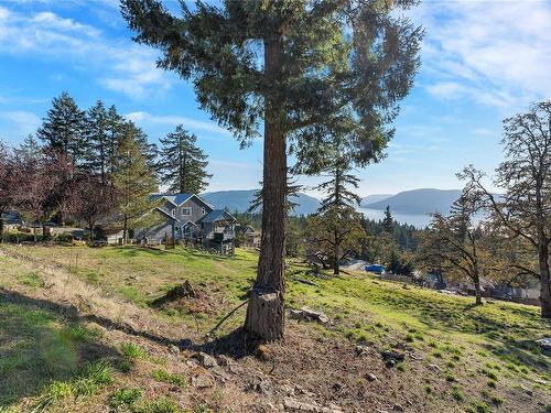 263 Canvasback Pl, Salt Spring, BC 