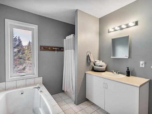 Salle de bains - 1372  - 1376 Rue Ste-Olive, Val-David, QC - Indoor