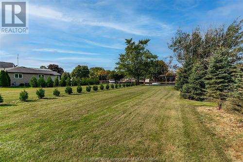 705 Tisdelle Drive, Lakeshore, ON 